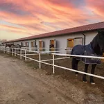 Brussa Horse Oasi