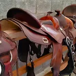 Brussa Horse Oasi