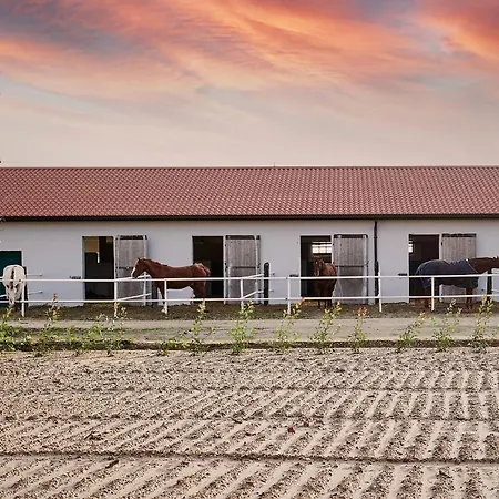 Brussa Horse Oasi Caorle