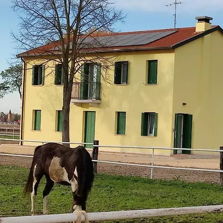 Brussa Horse Oasi *