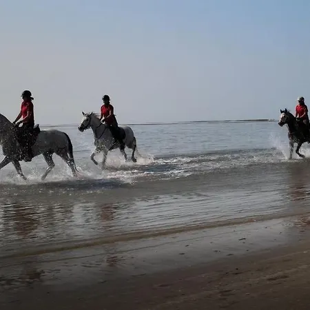 Brussa Horse Oasi Farmház Caorle
